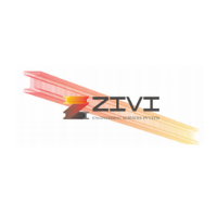 ZIVI logo